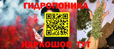 гашиш Краснознаменск