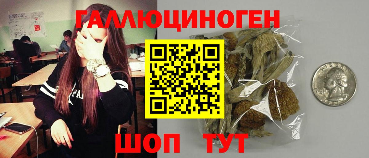 Кропоткин  Псилоцибиновые грибы GOLDEN TEACHER  Вход с VPN  где купить наркоту  Псилоцибиновые грибы Cubensis 